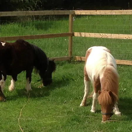La Roulotte De La Maison Du Bonheur Anlhiac