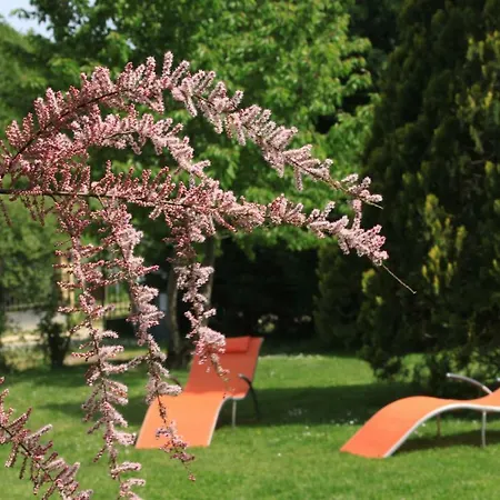 La Maison Du Bonheur * Anlhiac