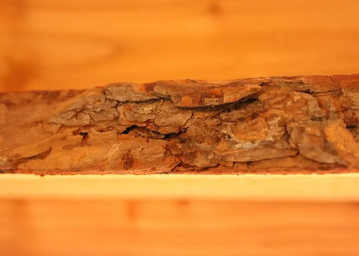 La Roulotte De La Maison Du Bonheur * Anlhiac