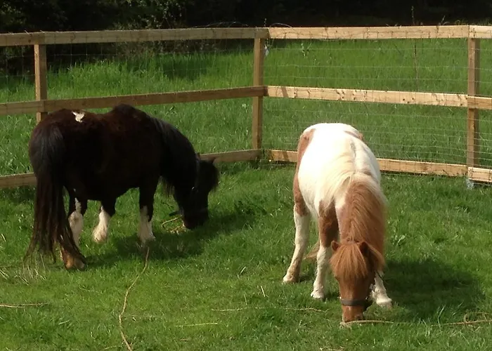 La Roulotte De La Maison Du Bonheur Anlhiac