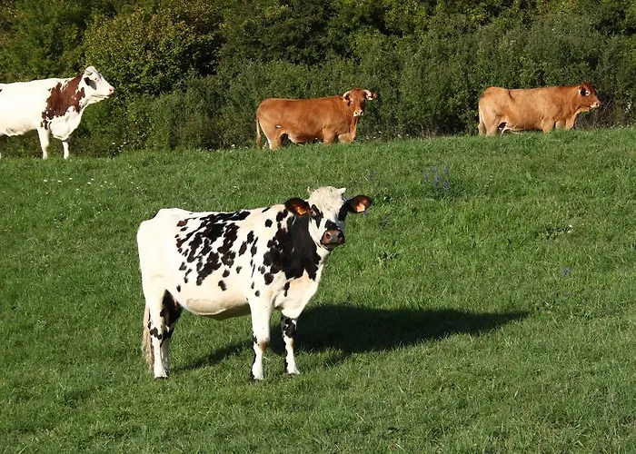 La Roulotte De La Maison Du Bonheur Gasthuis
