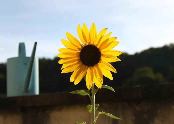 La Roulotte De La Maison Du Bonheur Penzion